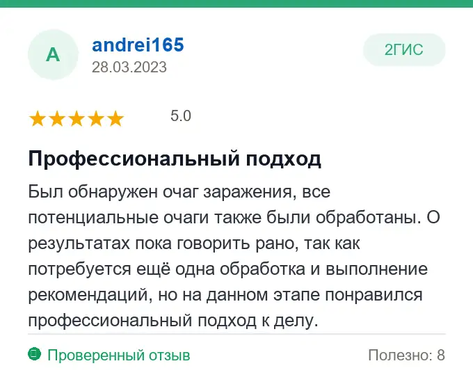 Отзыв andrei165: Профессиональный подход