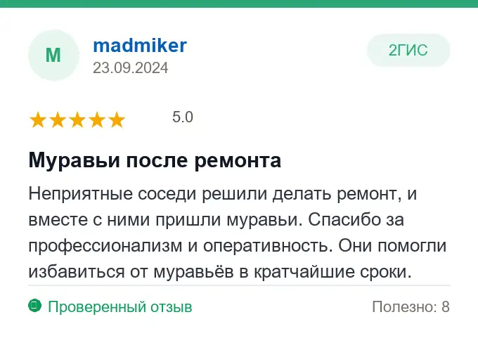 Отзыв madmiker: Муравьи после ремонта